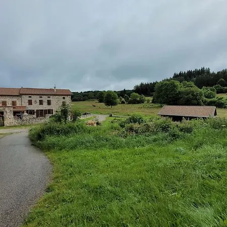 Maison De Campagne Usson-en-Forez Exterior photo